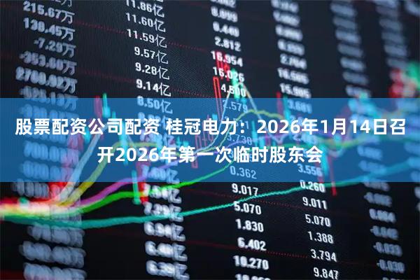 股票配资公司配资 桂冠电力：2026年1月14日召开2026年第一次临时股东会