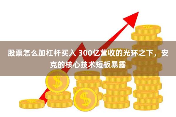 股票怎么加杠杆买入 300亿营收的光环之下，安克的核心技术短板暴露