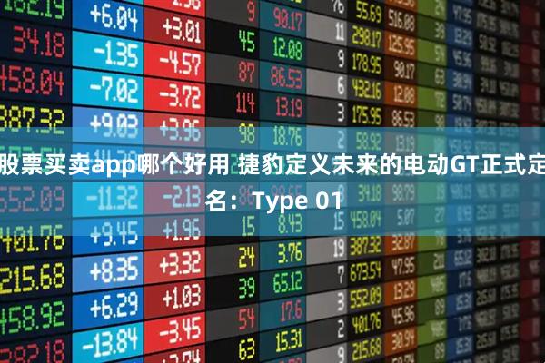 股票买卖app哪个好用 捷豹定义未来的电动GT正式定名：Type 01